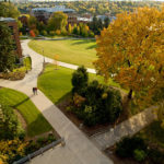 Overhead view of sidewalks surrounding green lawn areas and a tree with yellow leaves.